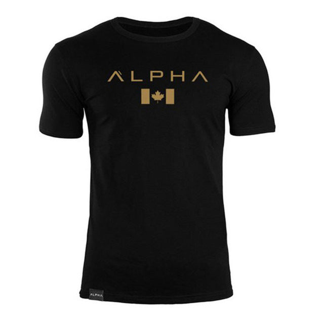 2017 new men cotton Short sleeve t shirt Fitness bodybuilding shirts Crossfit male Brand tee tops Fashion t-shirt men costume