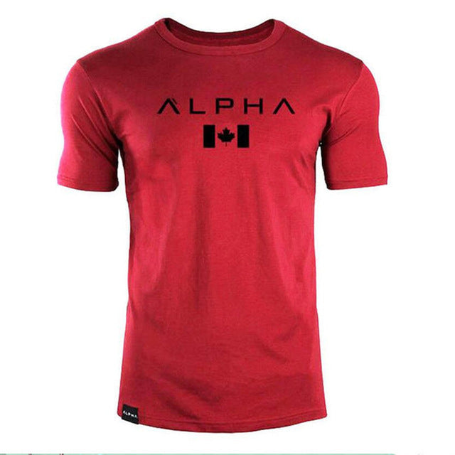 2017 new men cotton Short sleeve t shirt Fitness bodybuilding shirts Crossfit male Brand tee tops Fashion t-shirt men costume